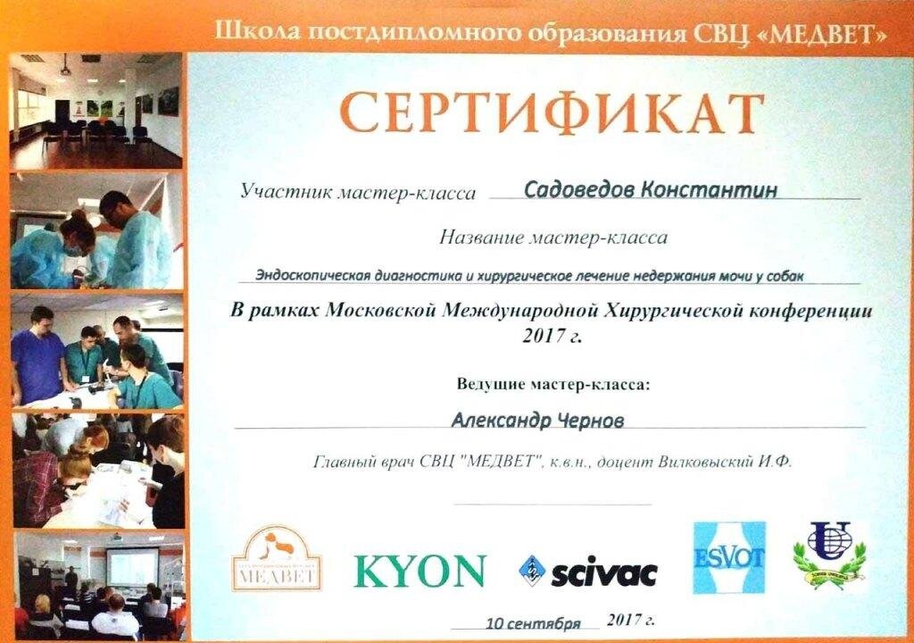 Документ или сертификат