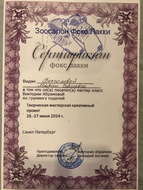 Документ или сертификат