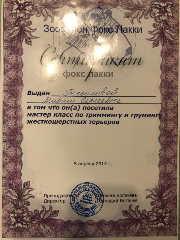 Документ или сертификат
