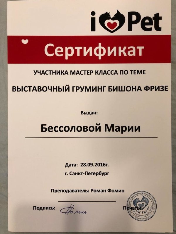 Документ или сертификат