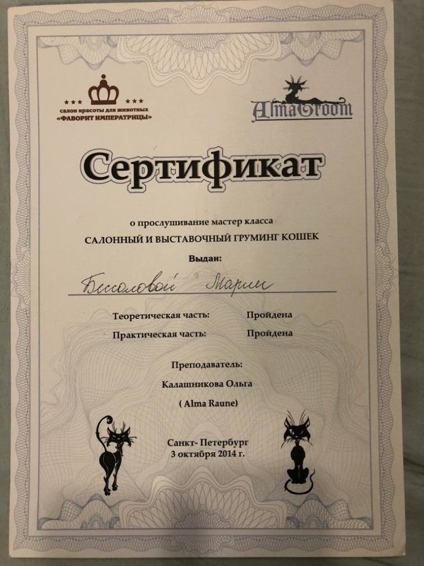 Документ или сертификат