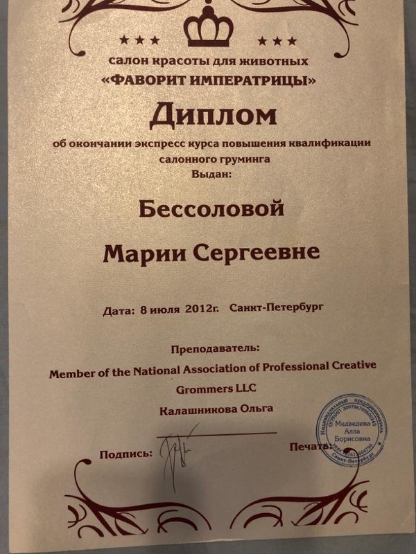 Документ или сертификат