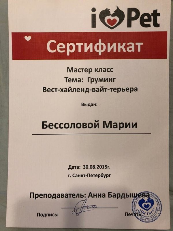 Документ или сертификат