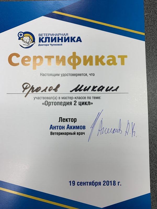 Документ или сертификат