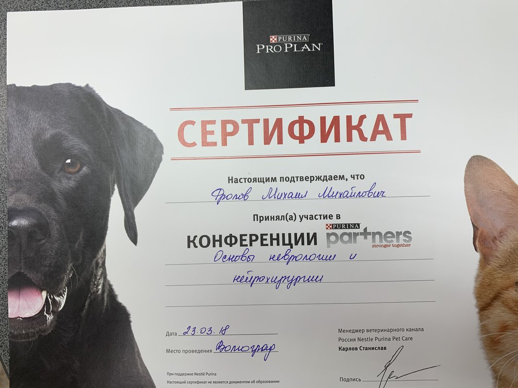 Документ или сертификат