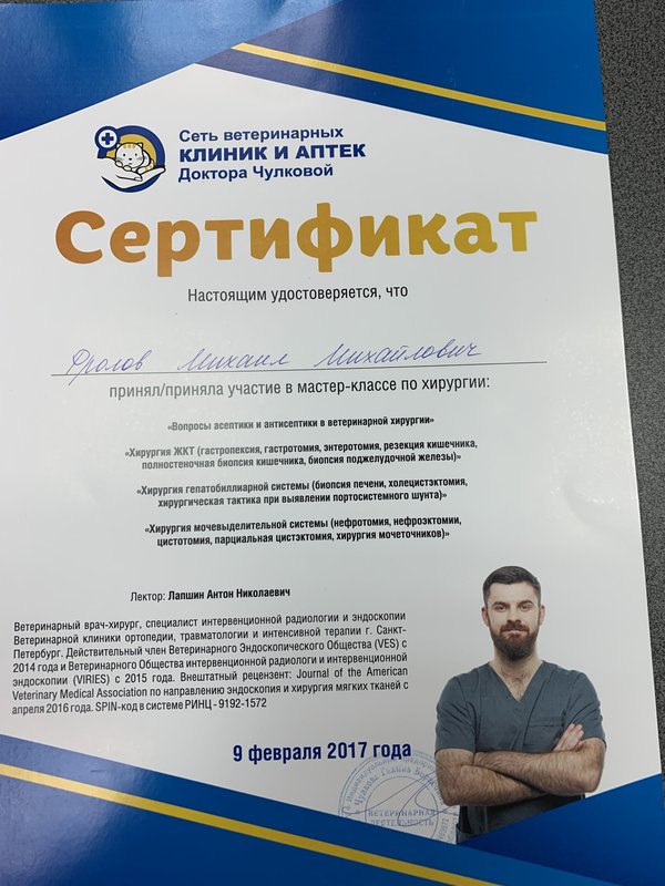 Документ или сертификат