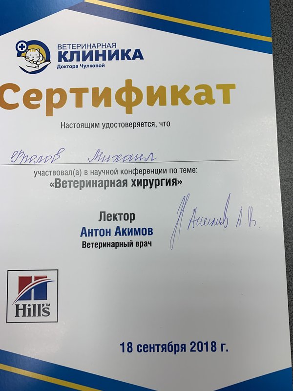 Документ или сертификат