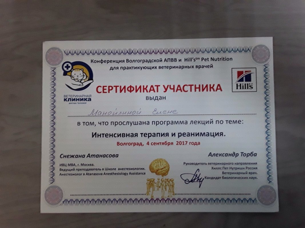 Документ или сертификат