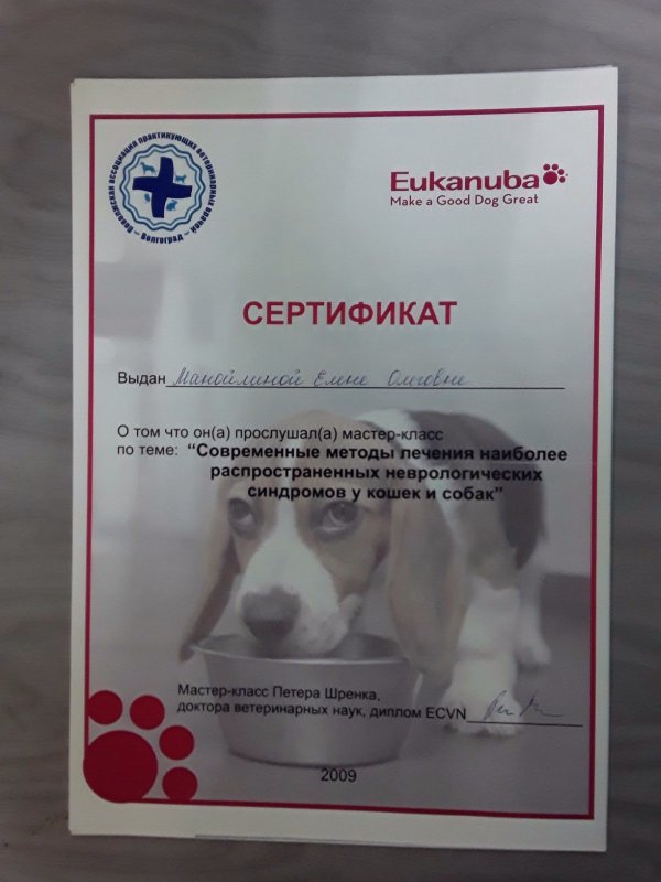 Документ или сертификат