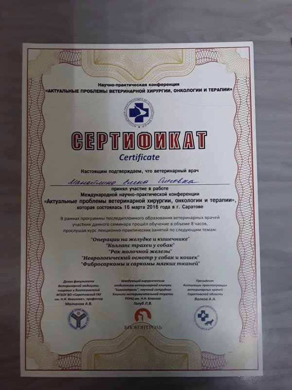 Документ или сертификат