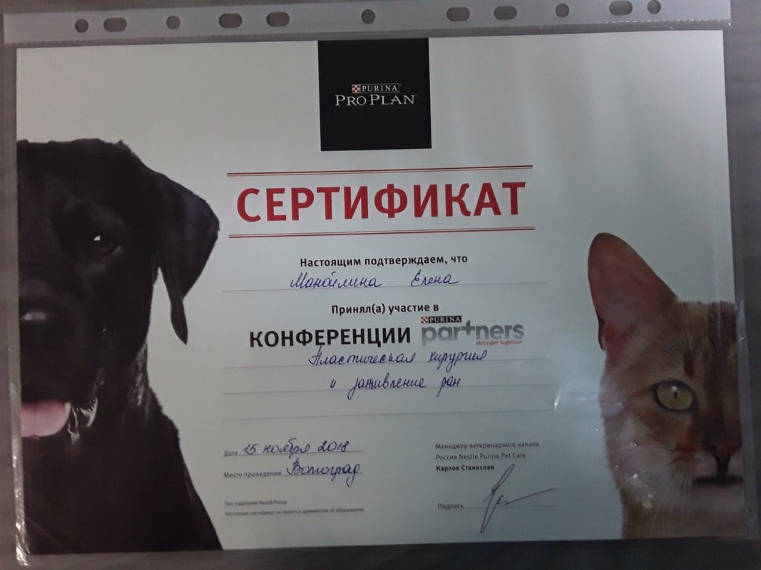Документ или сертификат