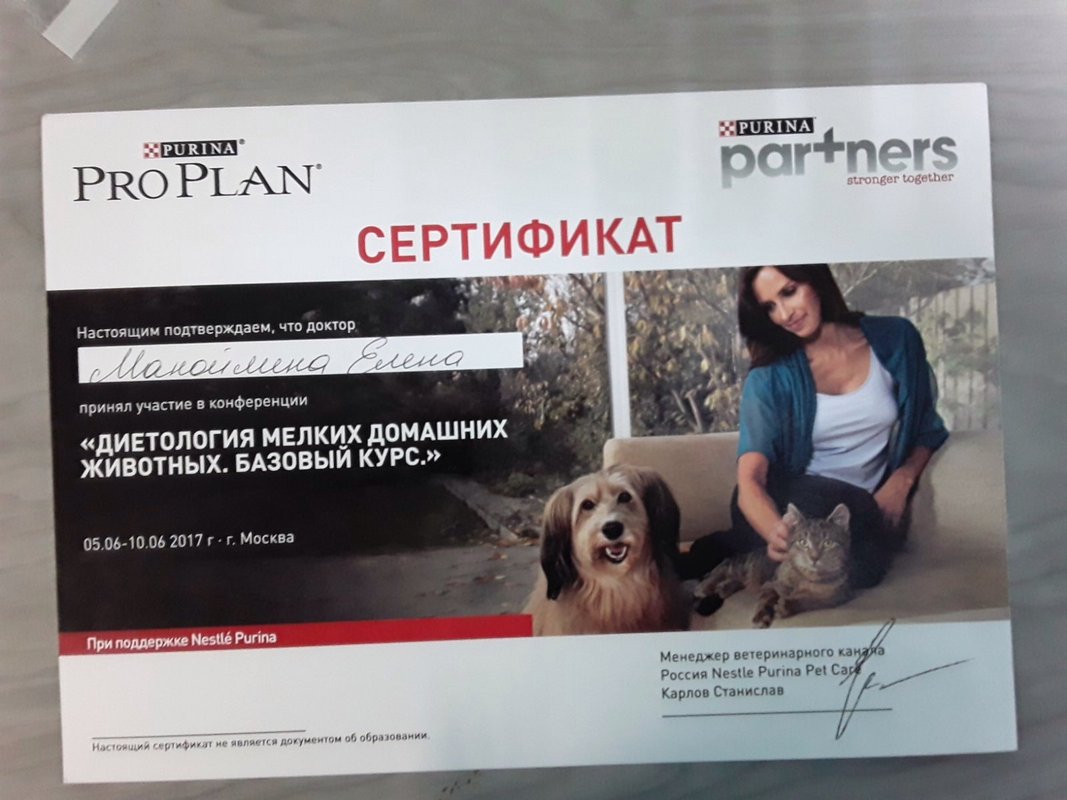 Документ или сертификат