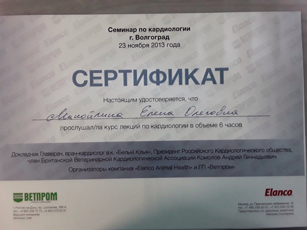 Документ или сертификат