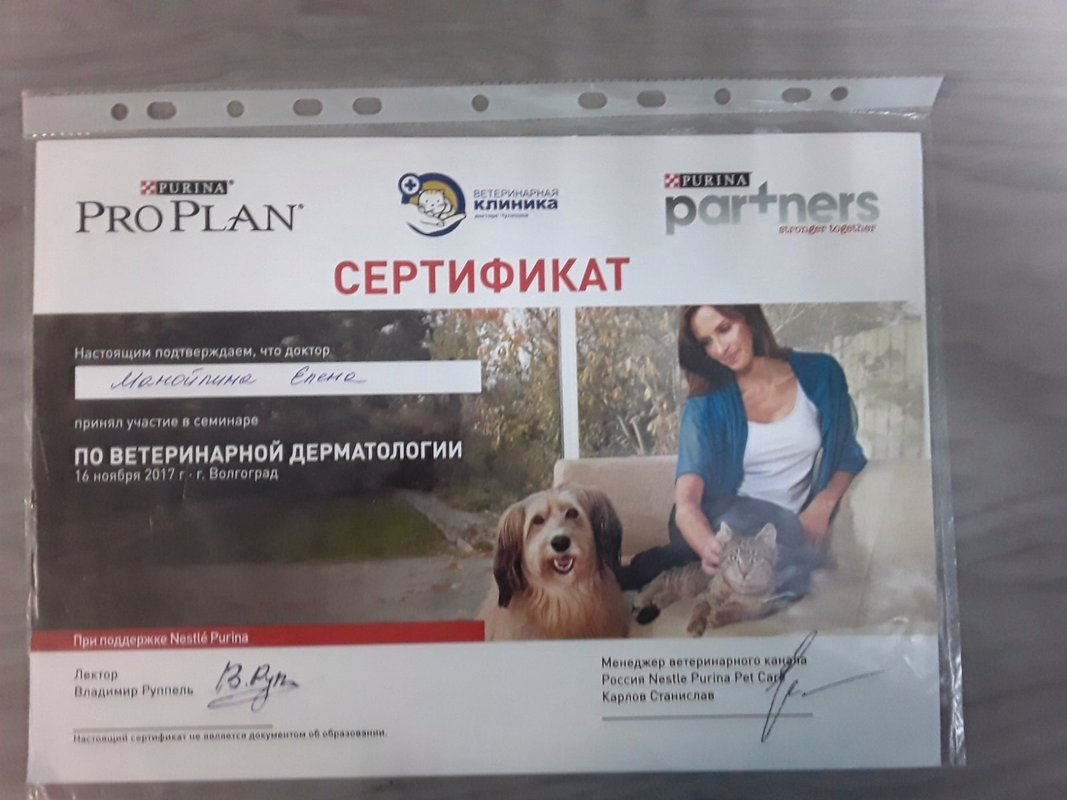 Документ или сертификат