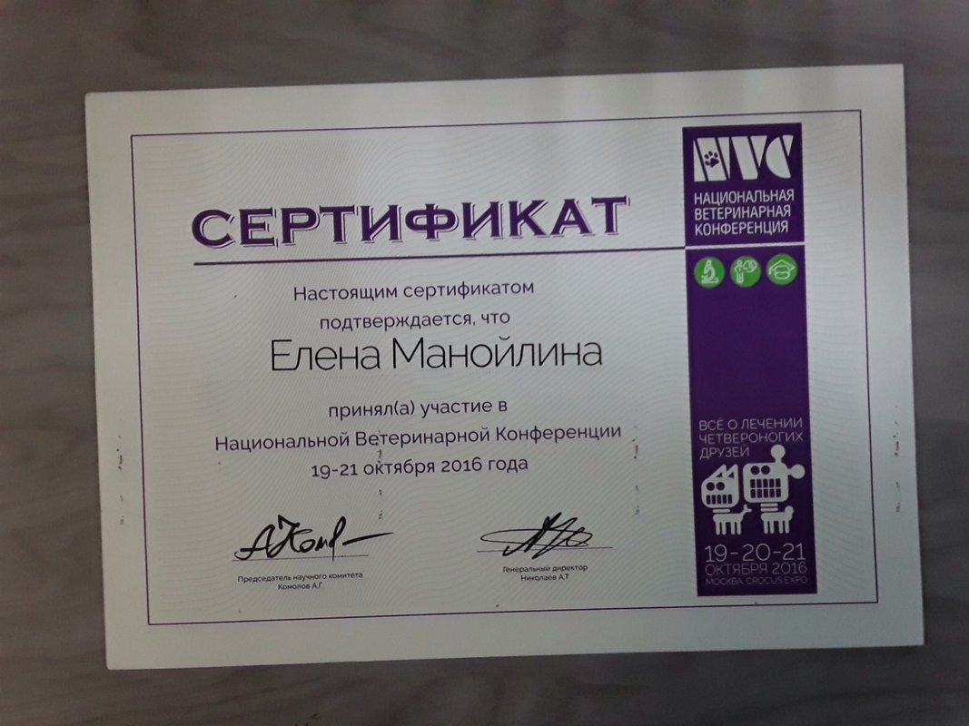Документ или сертификат