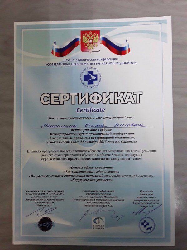 Документ или сертификат