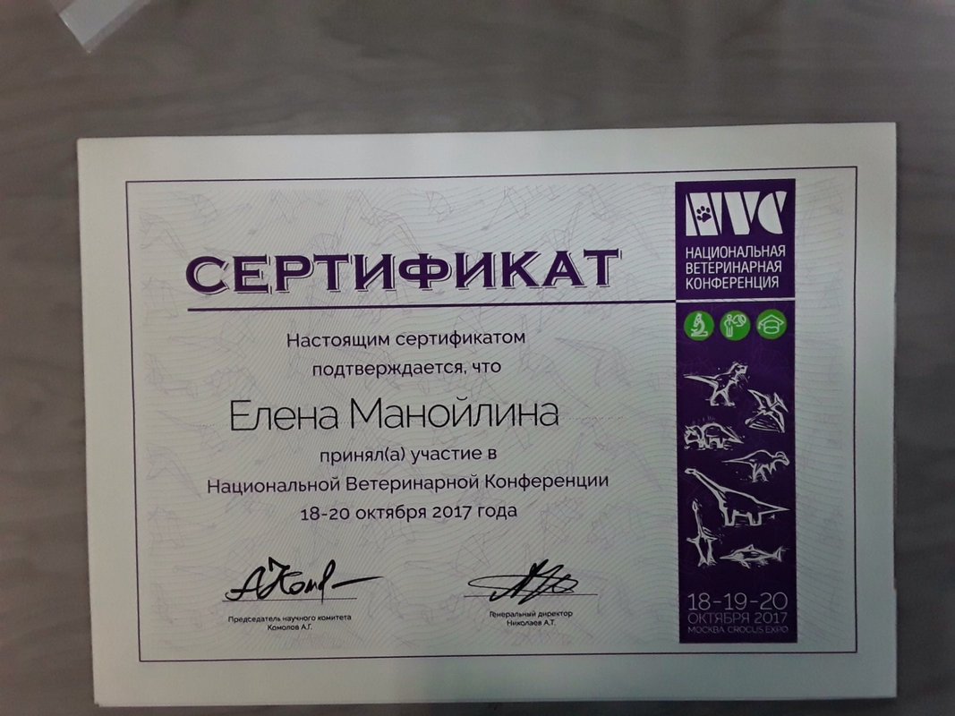 Документ или сертификат
