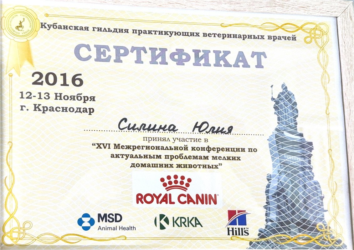 Документ или сертификат