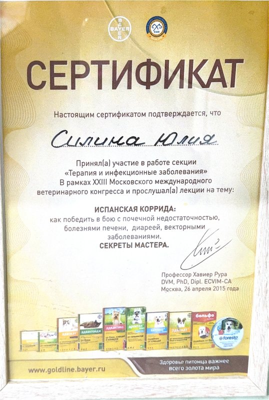 Документ или сертификат