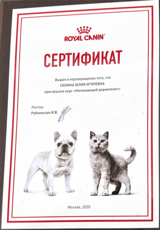 Документ или сертификат