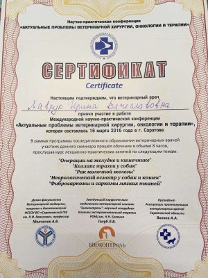Фото врача Лаврук Ирина Вячеславовна