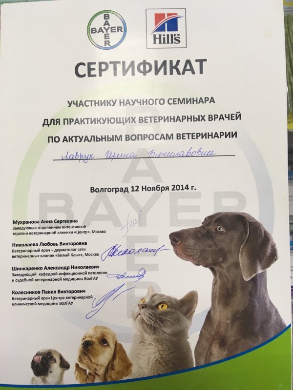 Документ или сертификат