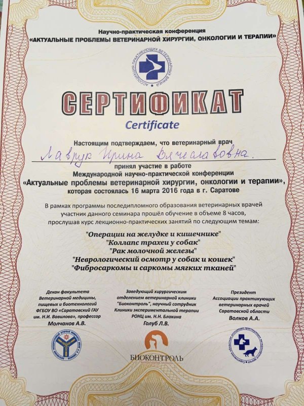 Документ или сертификат