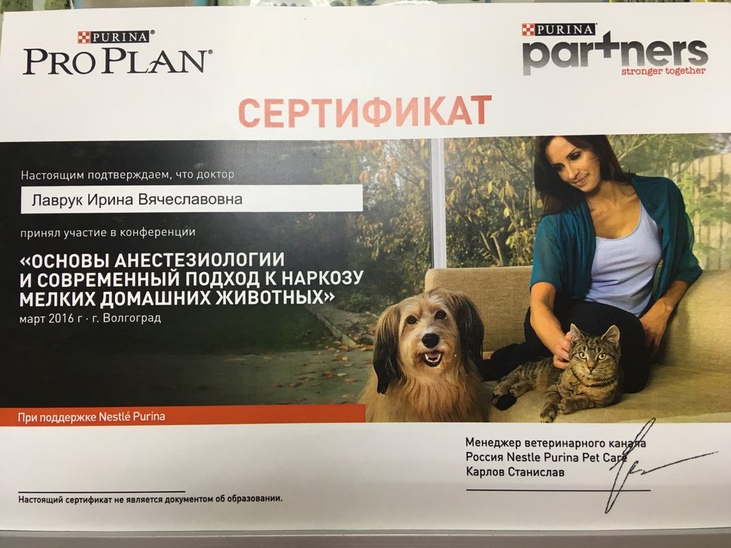 Документ или сертификат
