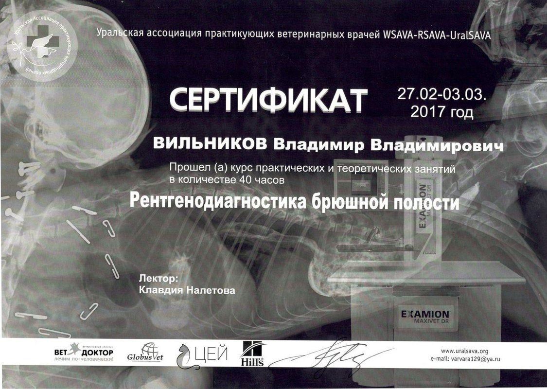 Документ или сертификат