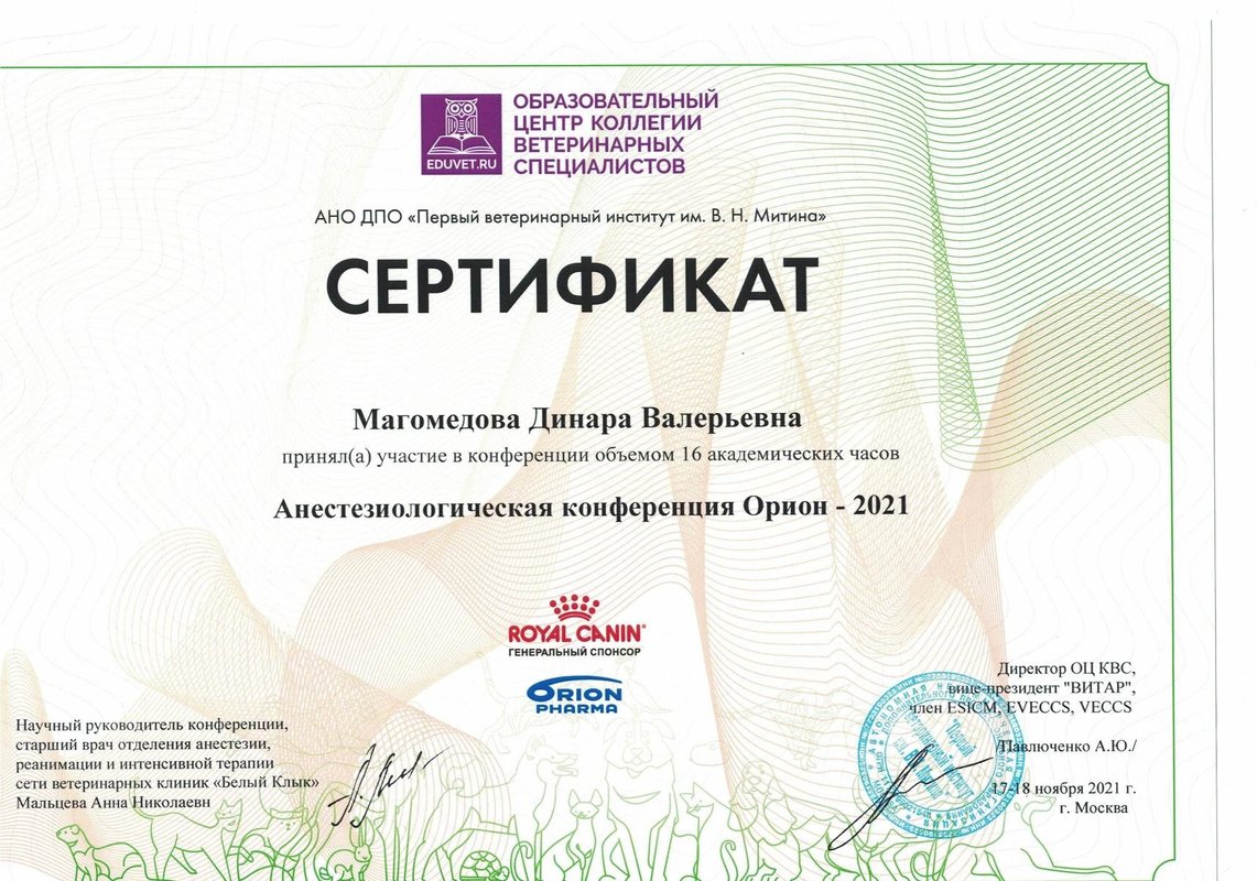 Документ или сертификат