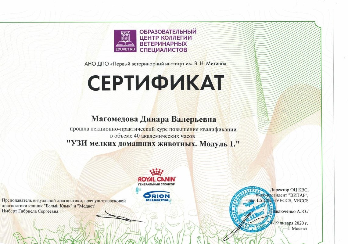 Документ или сертификат