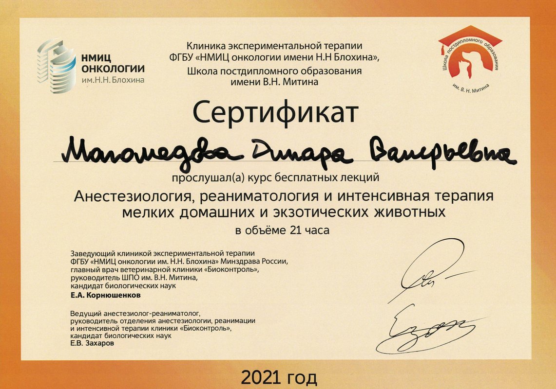 Документ или сертификат