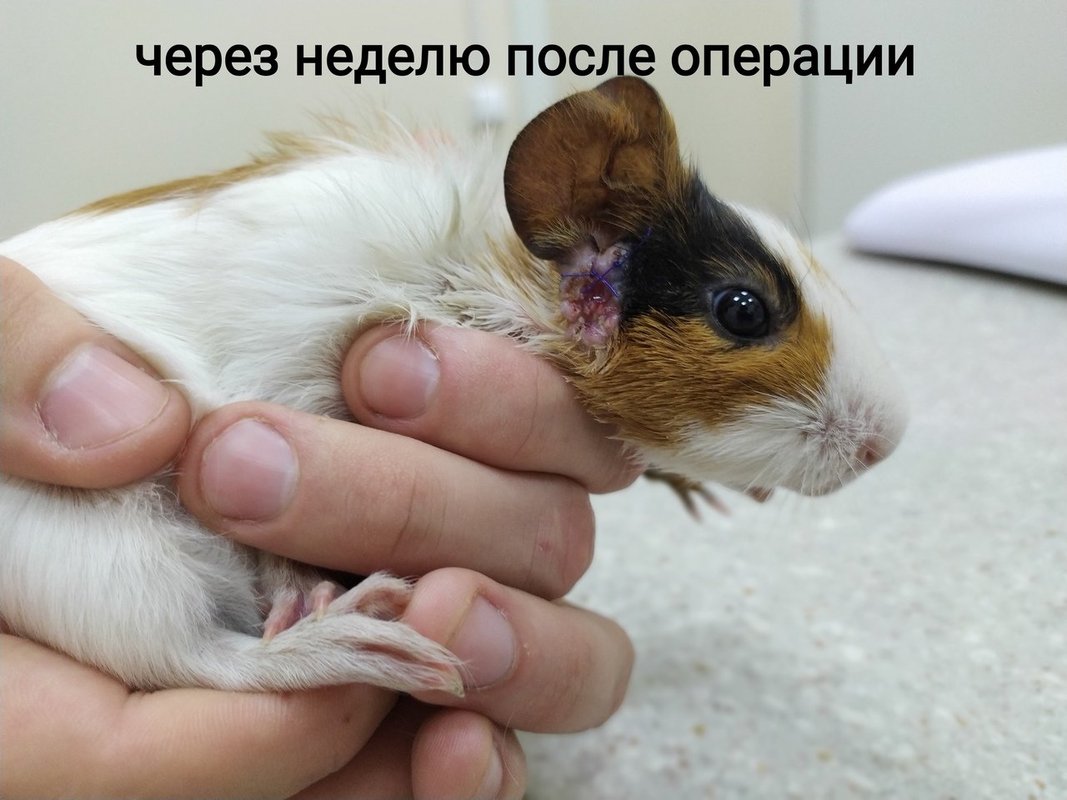Фото врача