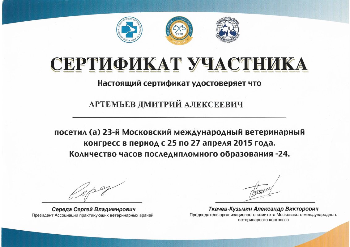 Документ или сертификат