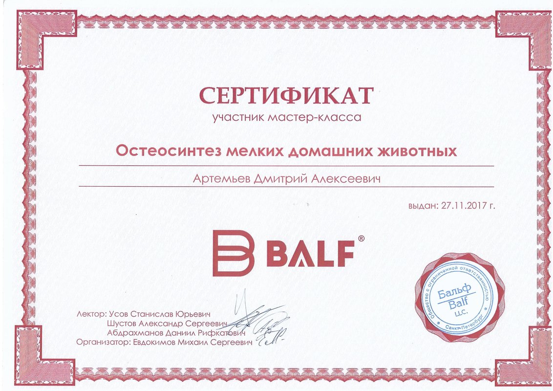 Документ или сертификат