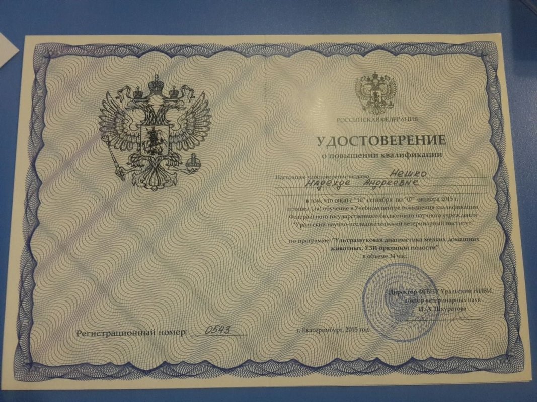 Документ или сертификат