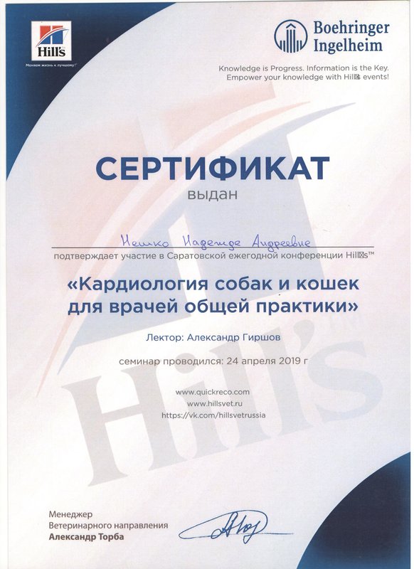 Документ или сертификат
