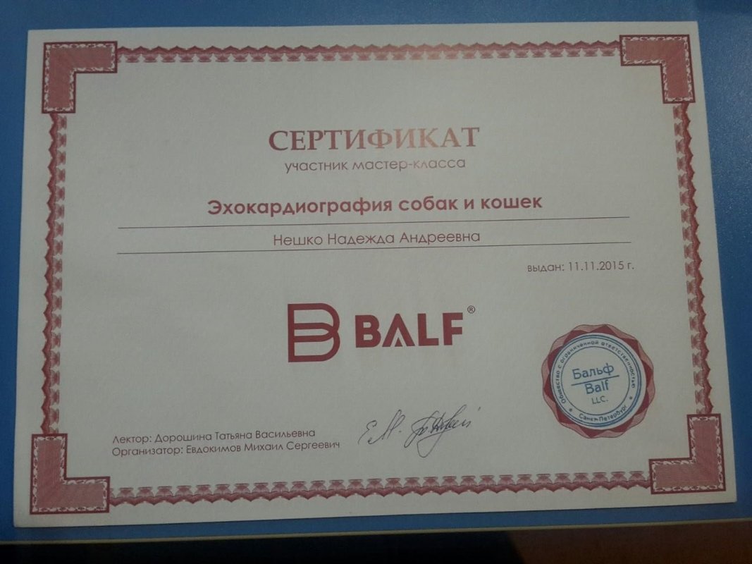 Документ или сертификат