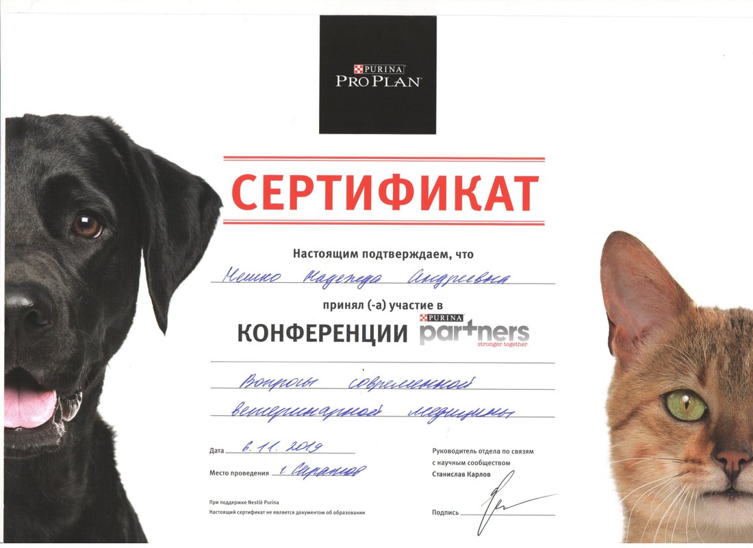 Документ или сертификат