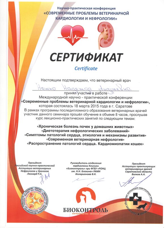 Документ или сертификат