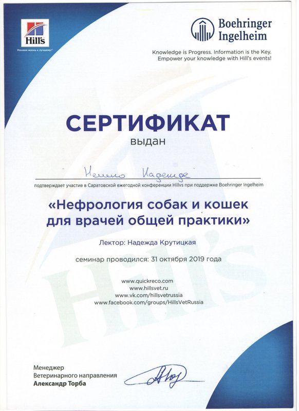 Документ или сертификат