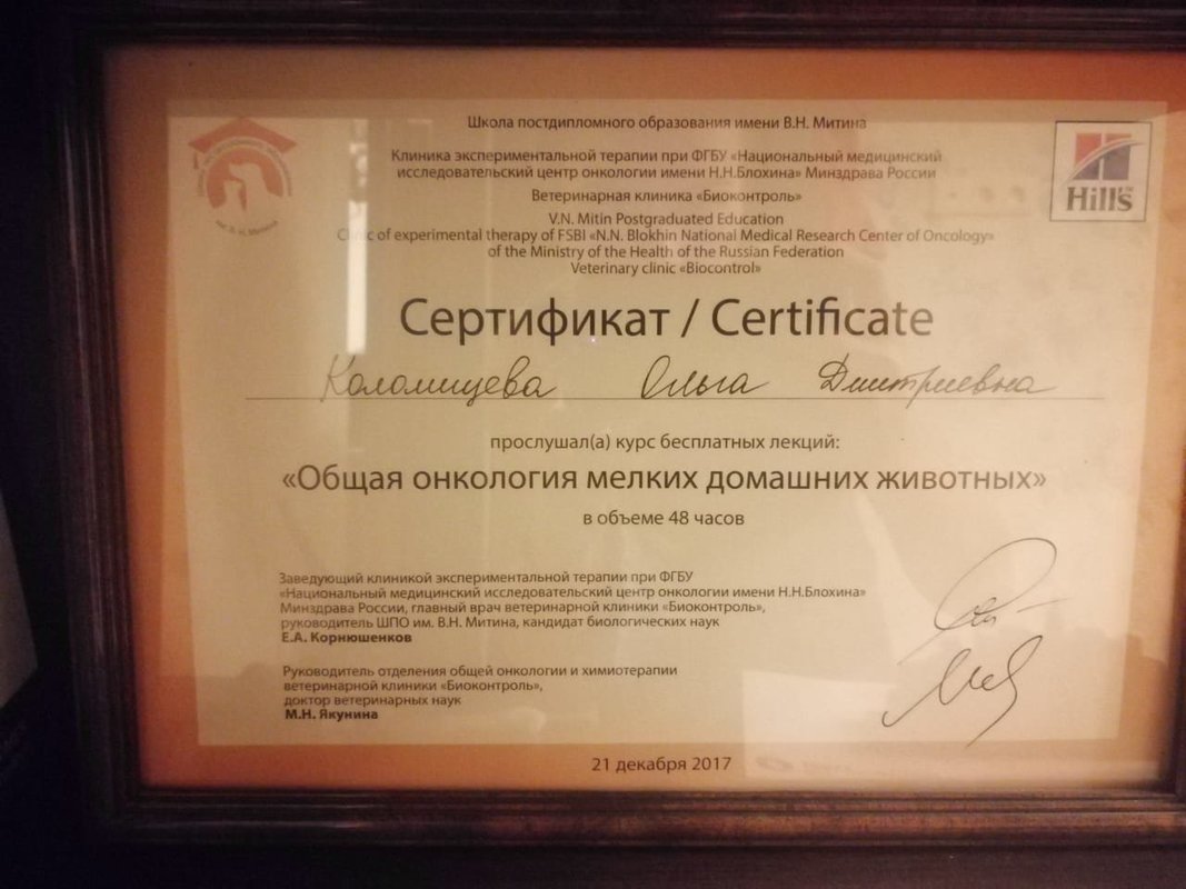Документ или сертификат
