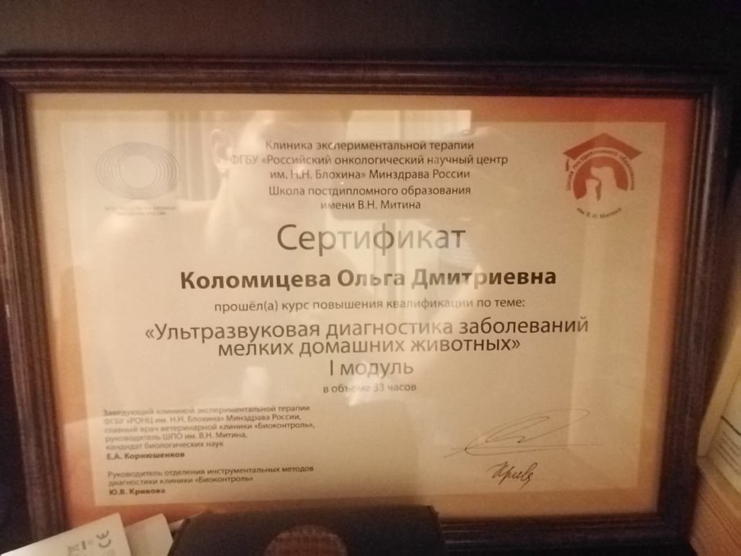 Документ или сертификат