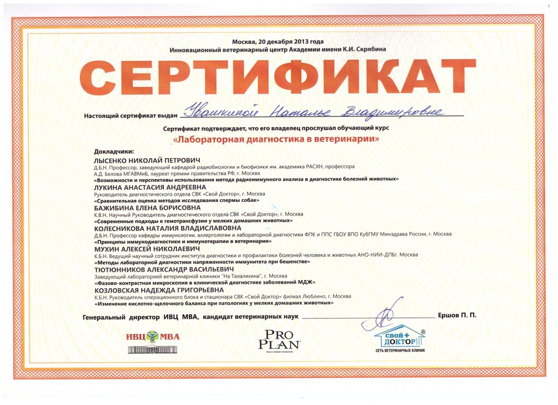 Документ или сертификат