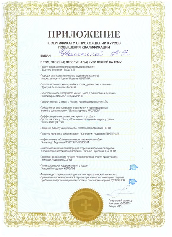Документ или сертификат