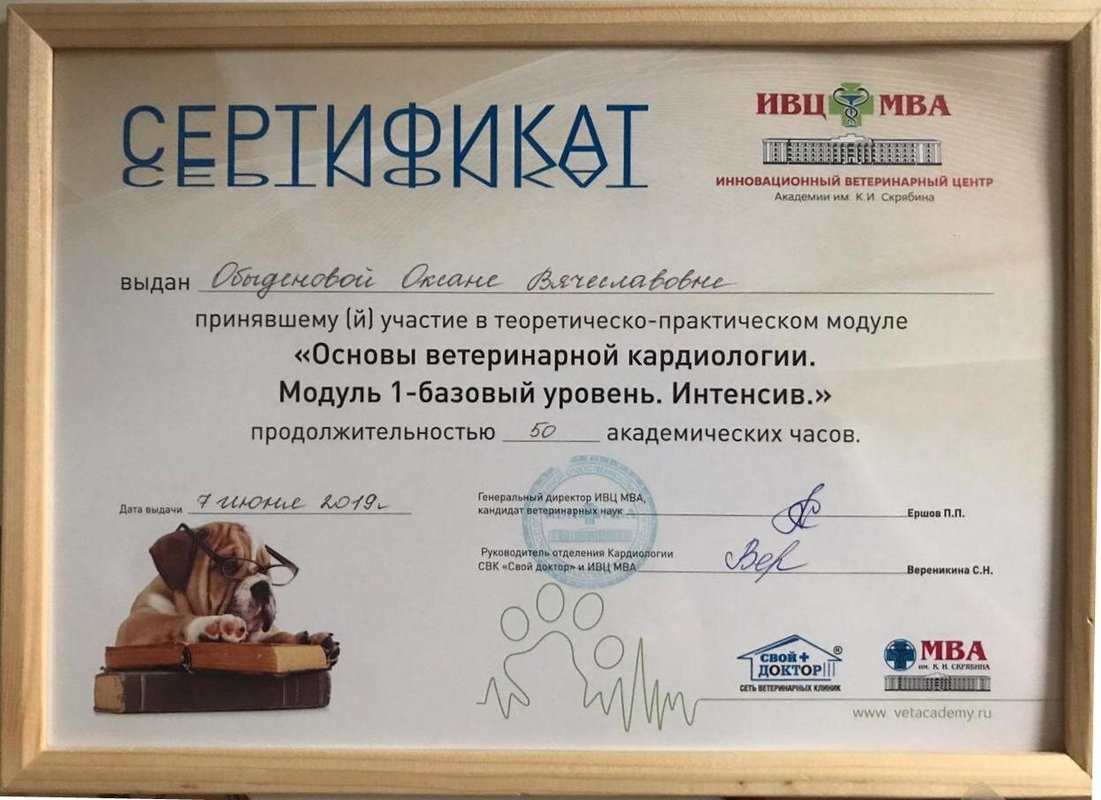Документ или сертификат
