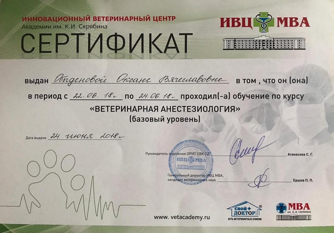 Документ или сертификат