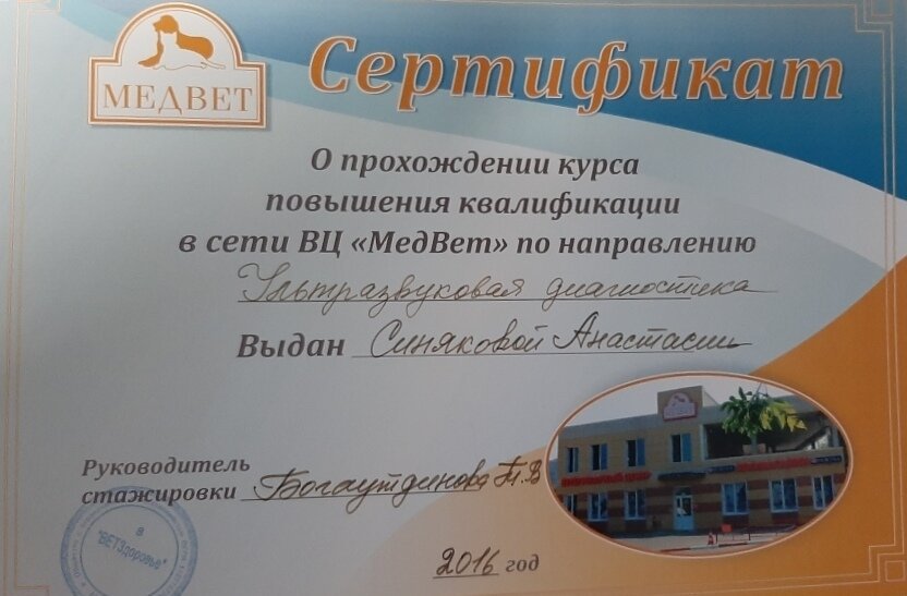 Документ или сертификат
