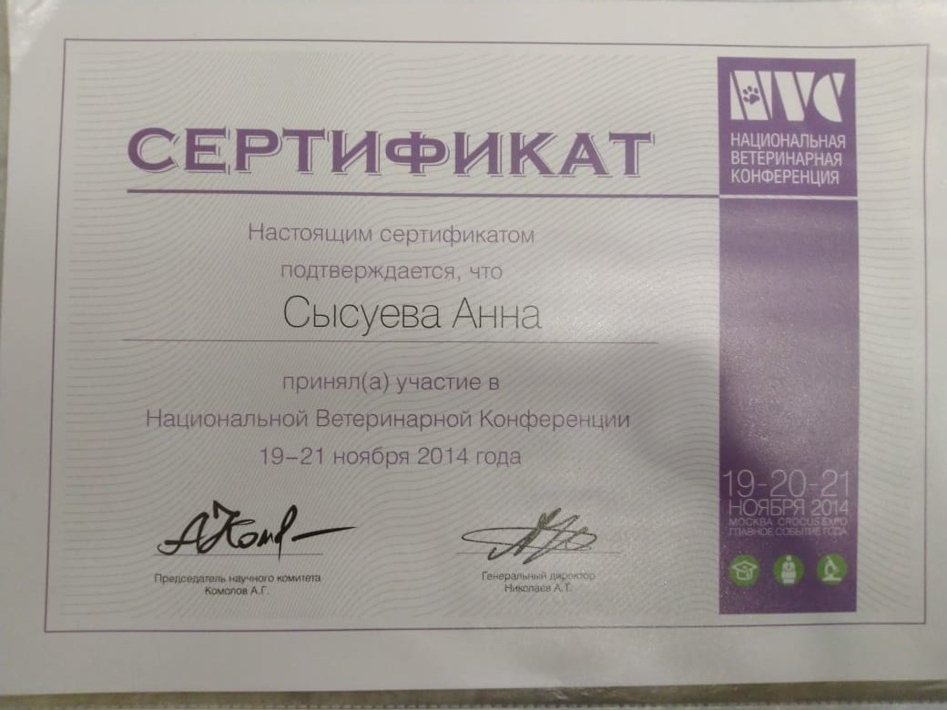 Документ или сертификат