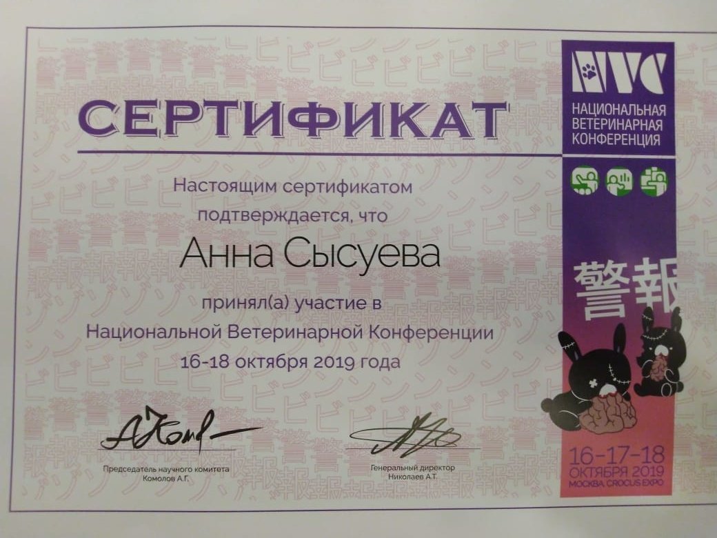 Документ или сертификат